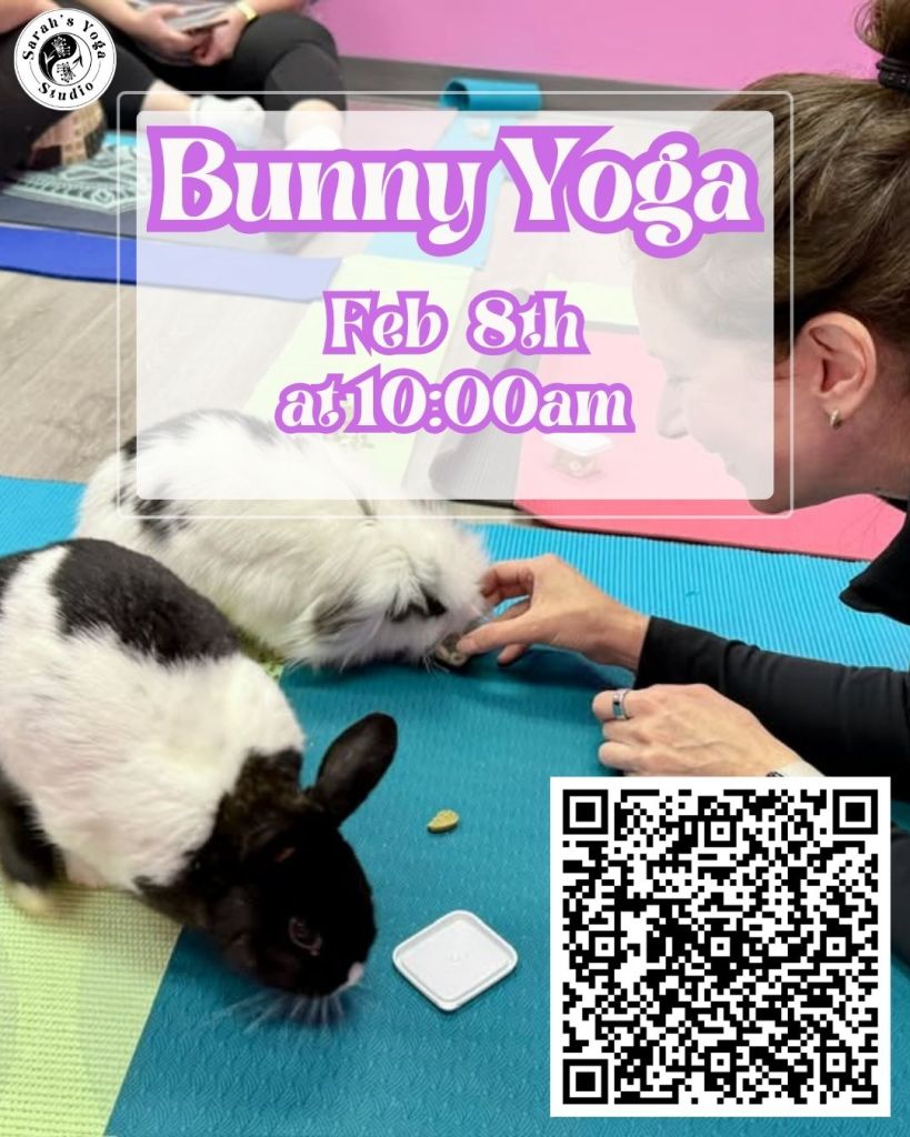 A close-up of two rabbits on a yoga mat, with a hand reaching out to one of the bunnies. The image promotes a Bunny Yoga event on February 8th at 10:00 AM, featuring playful bunnies in a yoga studio environment.
